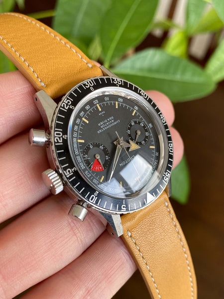 Croton store diver watch